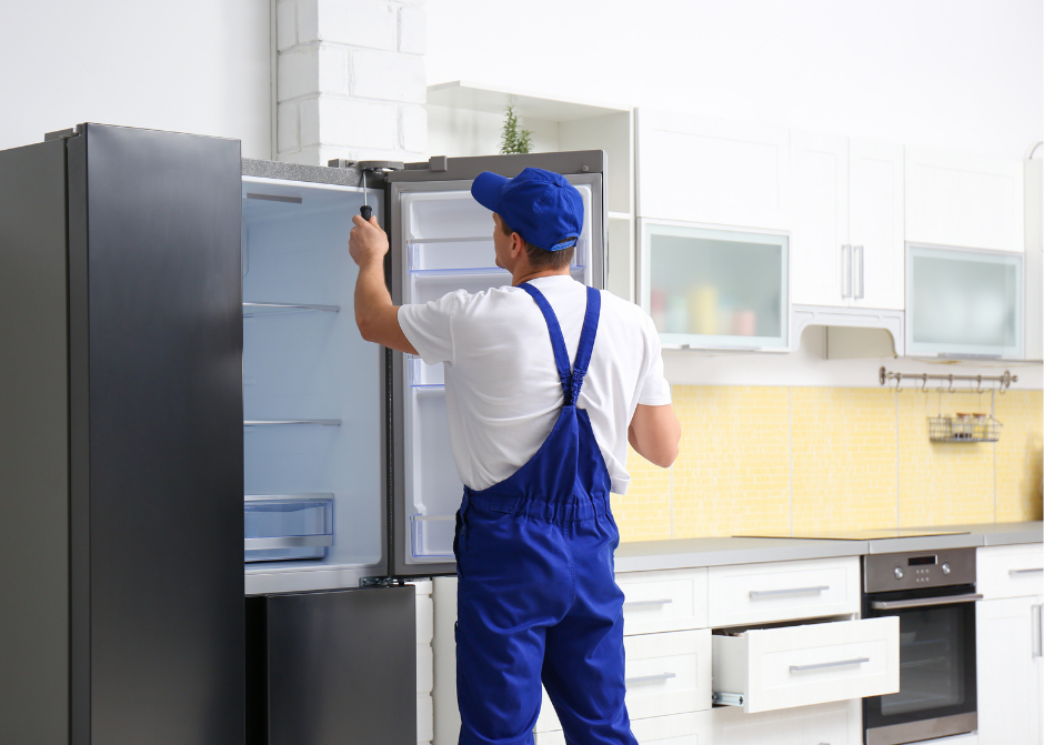 Selçuk Buzdolabı Servisi 